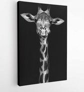 Canvas schilderij - Giraffe in black and white -  173344250 - 115*75 Vertical