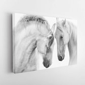 Canvas schilderij - Couple of beautiful white horses isolated on white background. High key image  -     777861169 - 50*40 Horizontal