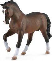 Paarden XL warmbloed hengst 14,7 cm