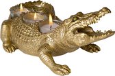 Waxinelicht - krokodil theelicht - goud - H 16,5 cm