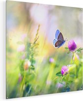 Artaza Glasschilderij - Blauwe Vlinder Bij Een Paarse Bloem - 90x90 - Groot - Plexiglas Schilderij - Foto op Glas