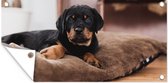 Tuinposter Rottweiler pup ligt op een zacht kussen - 80x40 cm - Wanddecoratie Buiten - Tuinposter - Tuindoek - Schuttingposter - Tuinschilderij