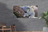 Schuttingposter Koala - Boomstam - Knuffel - Kids - Jongens - Meiden - 200x100 cm - Tuindoek
