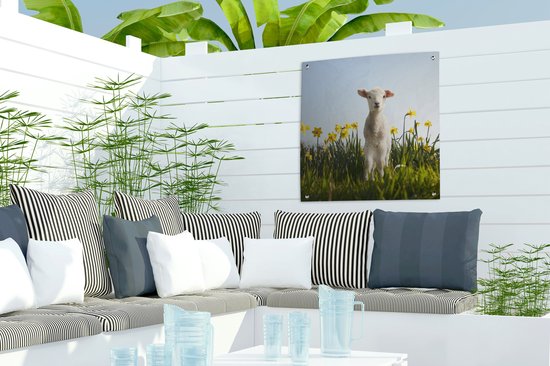 Posters de Posters de jardin Agneau parmi les fleurs jaunes - 50x50 cm