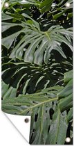 Affiche de jardin Feuilles de monstera vertes - 40x80 cm - Décoration murale Extérieur - Affiche de jardin - Toile de jardin - Affiche de clôture - Peinture de jardin