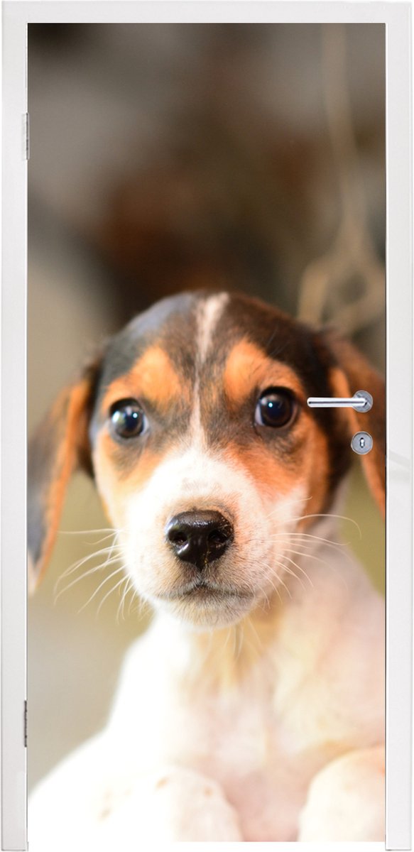 Afbeelding van product StickerSnake  Deursticker Puppy kijkt in de camera - 95x235 cm - Deurposter