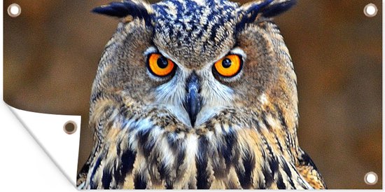Affiche de clôture Gros plan d'une grande chouette grand-duc femelle - 200x100 cm - Toile jardin