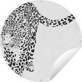 Tuincirkel Een illustratie van een sluipend luipaard - 120x120 cm - Ronde Tuinposter - Buiten XXL / Groot formaat!