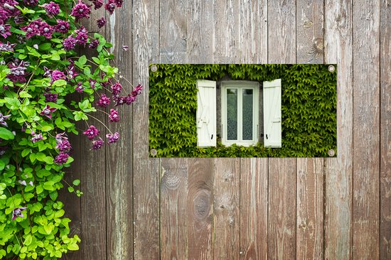 Poster de jardin Fenêtre à volets entre les plantes grimpantes - 80x40 cm