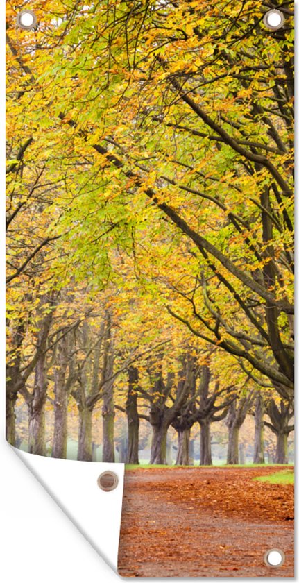 Tuinposter Kastanjebomen tijdens de herfst - 40x80 cm - Wanddecoratie Buiten - Tuinposter - Tuindoek - Schuttingposter - Tuinschilderij