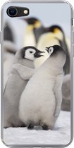 Geschikt voor iPhone SE 2020 hoesje - Pinguïns - Sneeuw - Dieren - Siliconen Telefoonhoesje