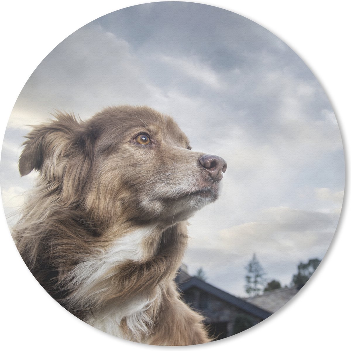 Muismat rond 30x30 cm - Mousepad Starende hond - Ronde muismatten