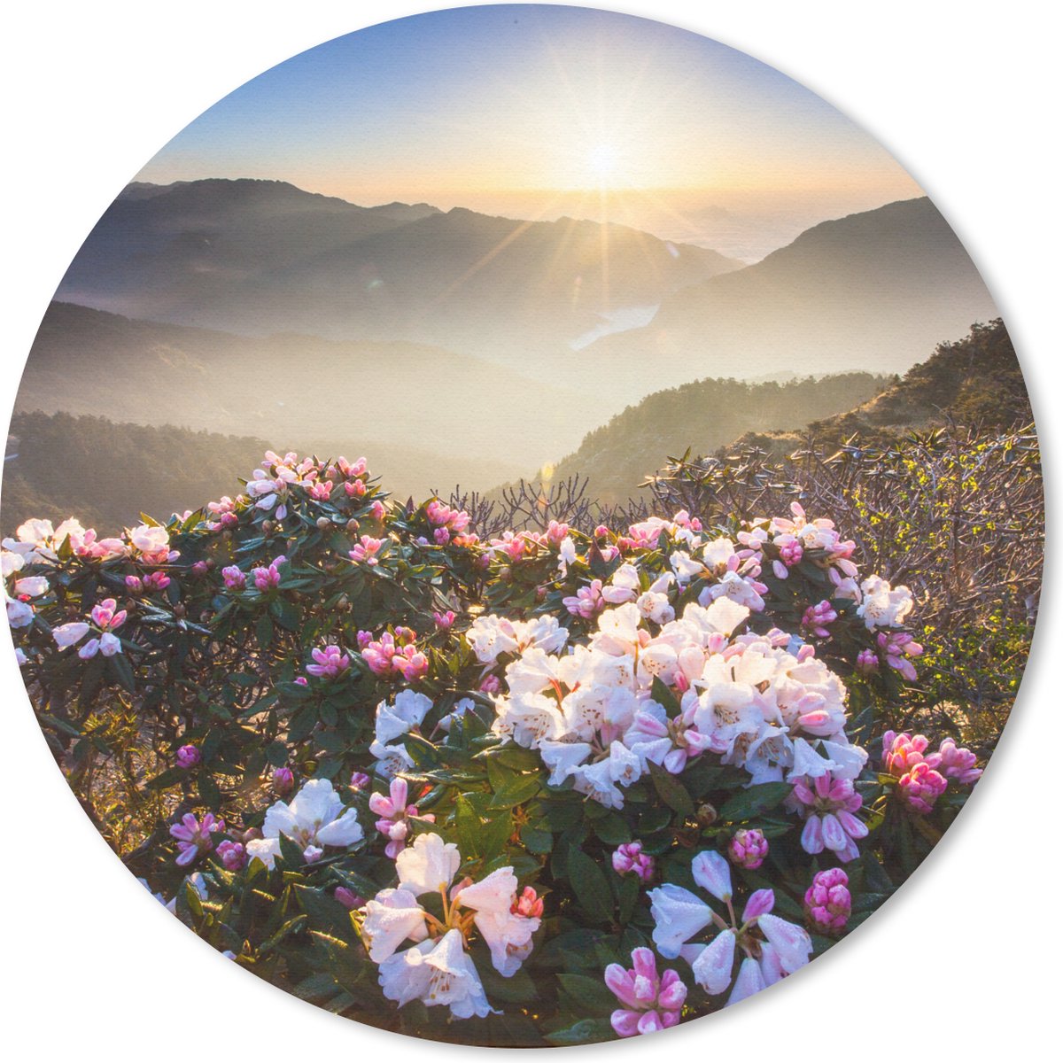 Muismat rond 50x50 cm - Mousepad Bloemenweide - Zon - Bergen - Ronde muismatten