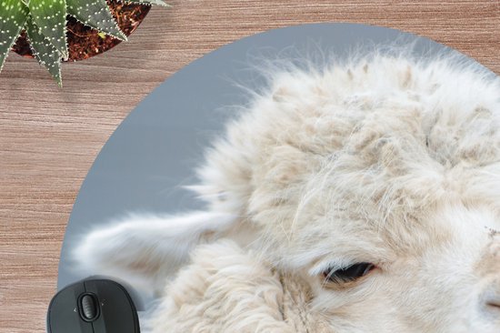 Muismat rond 50x50 cm - Mousepad Alpaca - Wol - Wit - Ronde muismatten