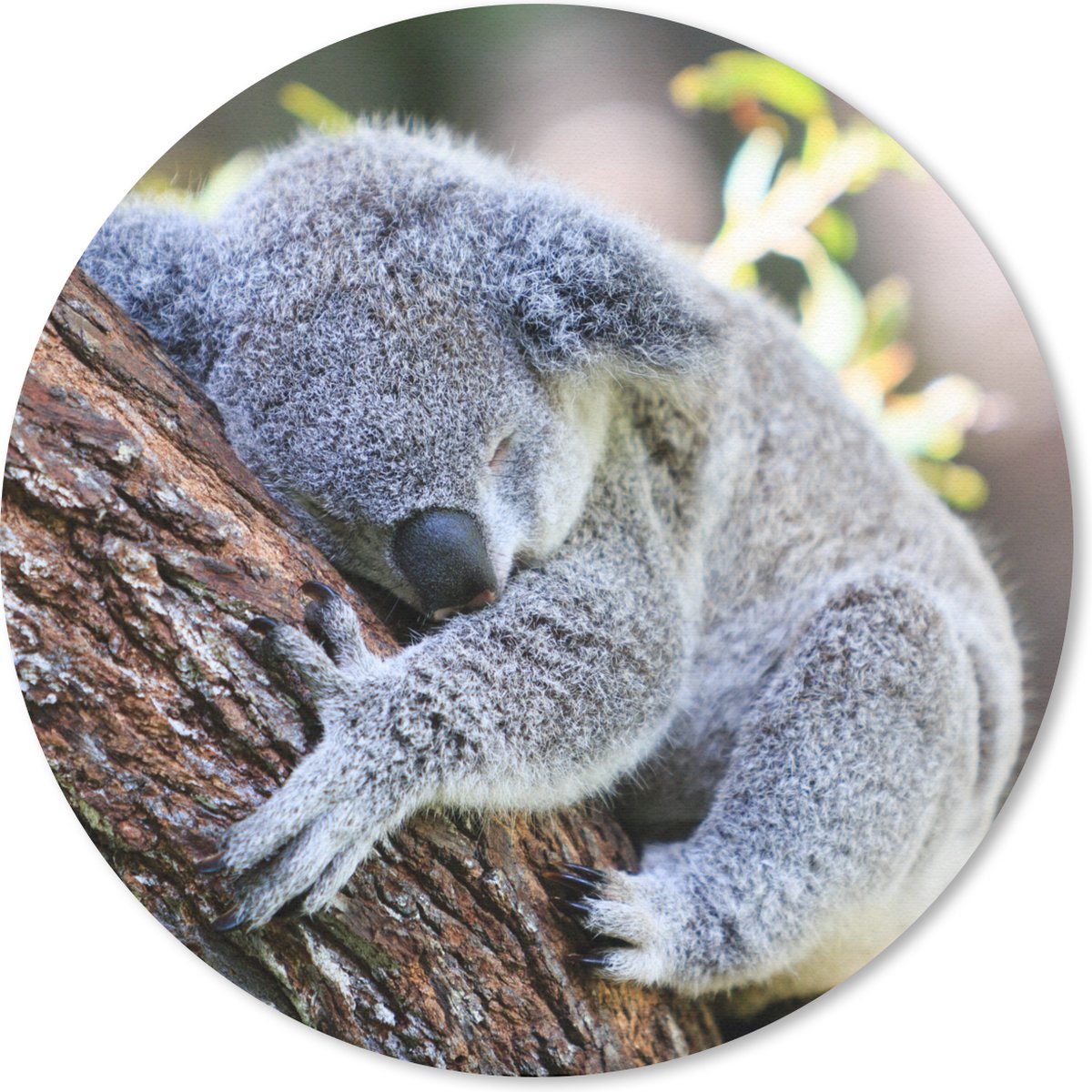 Muismat rond 50x50 cm - Mousepad Koala - Boomstam - Knuffel - Kids - Jongens - Meiden - Ronde muismatten