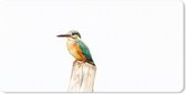 Bureau onderlegger - Muismat - Bureau mat - IJsvogel - Veren - Paal - 80x40 cm