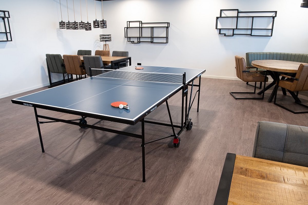 Table de ping-pong Pegasi 500 Indoor Noir | bol.com