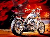 Denza - Diamond painting Harley Davidson cycles 40 x 50 cm volledige bedrukking ronde steentjes direct leverbaar - biker - motor - shopper - harley - uniek model -