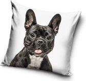 Hond Sierkussens - Kussen - 40 x 40 inclusief vulling - Kussen van Polyester - KledingDroom®