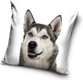 Husky Sierkussens - Kussen - 40 x 40 inclusief vulling - Kussen van Polyester - KledingDroom®