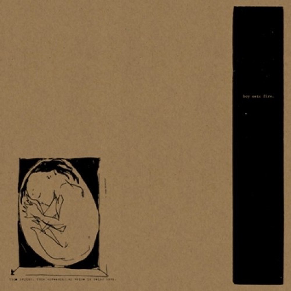 Boysetsfire - This Crying, This Screaming, My Voice Is Being Born. (LP)