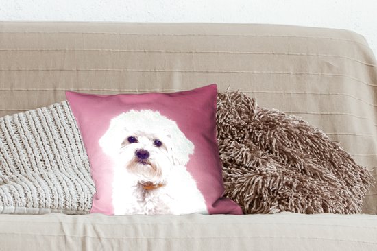 Chien maltais avec un fond rose