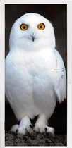 Deursticker Sneeuwuil - 90x215 cm - Deurposter