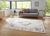 Modern oosters vloerkleed Alain - zilver/goud 200x290 cm