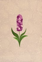 Originele handgemaakte Turkse marmering kunst Ebru, Turkse papier marmering, 35x50cm decoratief papier voor boekbinden, kunst aan de muur, huisdecoratie