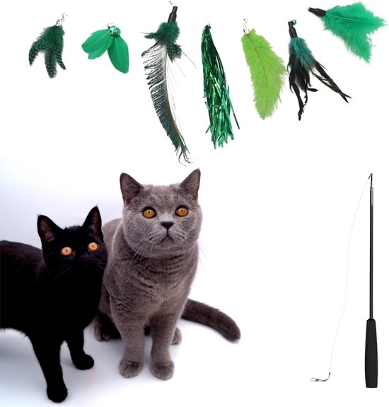 Make Me Purr Kattenhengel met 7 Hangers (Groen) - Speelgoed Hengel voor Katten - Kat Speelhengel met Veren - Kitten Kattenplager met Veer - Kattenspeelgoed - Kattenspeeltjes