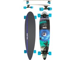 Long Island Palm pintail longboard