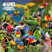 Jameszoo - Guanyin Psittacines (10" LP)