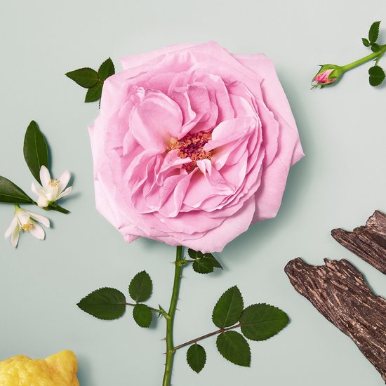 Chloé Signature Naturelle Eau de parfum spray 30 ml