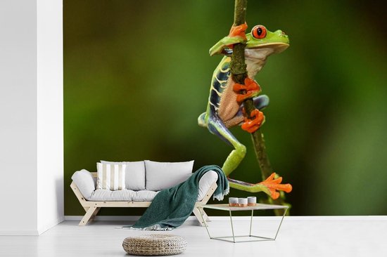 Papier peint Papier peint photo en vinyle - Grenouille ara aux yeux rouges dans la jungle largeur 330 cm x hauteur 220 cm - Tirage photo sur papier peint (disponible en 7 tailles)