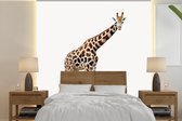 Papier peint - Papier peint photo peint Chambre de bébé - Girafe - Largeur 240 cm x Hauteur 240 cm