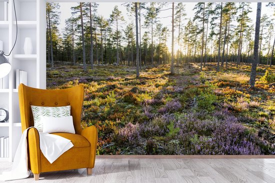 Papier peint Papier peint photo en vinyle - Arbres sur un paysage aux allures de bruyère largeur 600 cm x hauteur 400 cm - Tirage photo sur papier peint (disponible en 7 tailles)