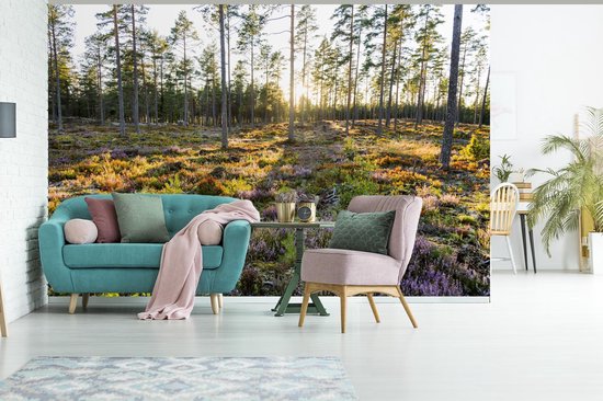 Papier peint Papier peint photo en vinyle - Arbres sur un paysage aux allures de bruyère largeur 600 cm x hauteur 400 cm - Tirage photo sur papier peint (disponible en 7 tailles)