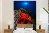 Behang - Fotobehang Zeester - Rood - Koraal - Breedte 145 cm x hoogte 220 cm