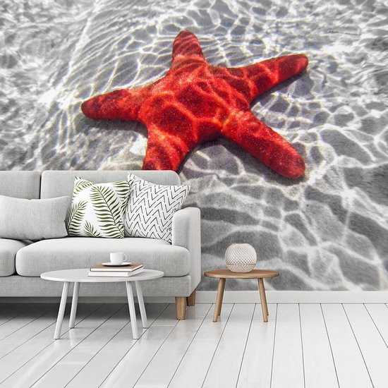 Papier peint Papier peint photo en vinyle - Une étoile de mer rouge est visible sous l'eau largeur 350 cm x hauteur 260 cm - Tirage photo sur papier peint (disponible en 7 tailles) / Mer et plage