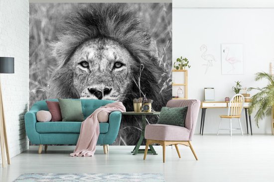 Papier peint Papier peint photo en vinyle - Portrait de lion largeur 350 cm x hauteur 350 cm - Tirage photo sur papier peint (disponible en 7 tailles)