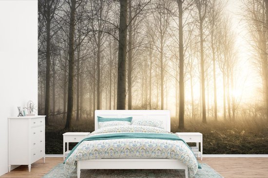 Lever du soleil dans une forêt brumeuse au Royaume-Uni fotobehang