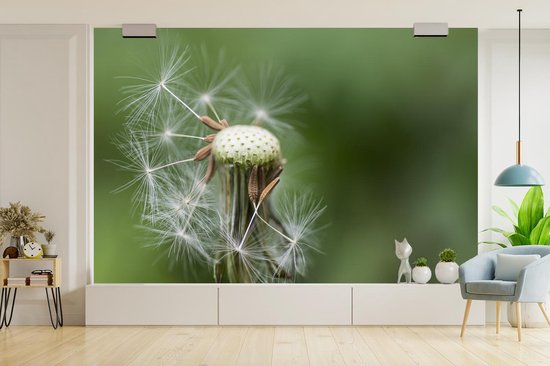 Papier peint photo peint vinyle - Pissenlit perdant ses graines largeur 525 cm x hauteur 350 cm - Tirage photo sur papier peint (disponible en 7 tailles)
