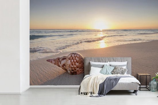 Papier fotobehang Coquillage sur la plage au coucher du soleil