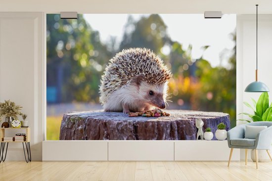 Papier peint photo peint vinyle - Manger hérisson largeur 330 cm x hauteur 220 cm - Tirage photo sur papier peint (disponible en 7 tailles)