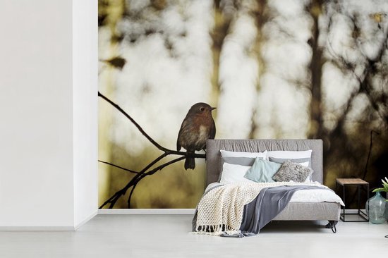 Robin sur une branche dans la nature 385x280 cm
