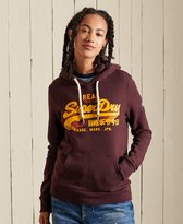 Superdry Dames Trui Vintage Logo hoodie met regenboogkleuren