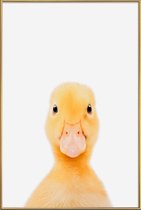JUNIQE - Poster met kunststof lijst Duckling -40x60 /Geel