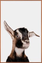 JUNIQE - Poster met kunststof lijst Goat -40x60 /Bruin & Wit