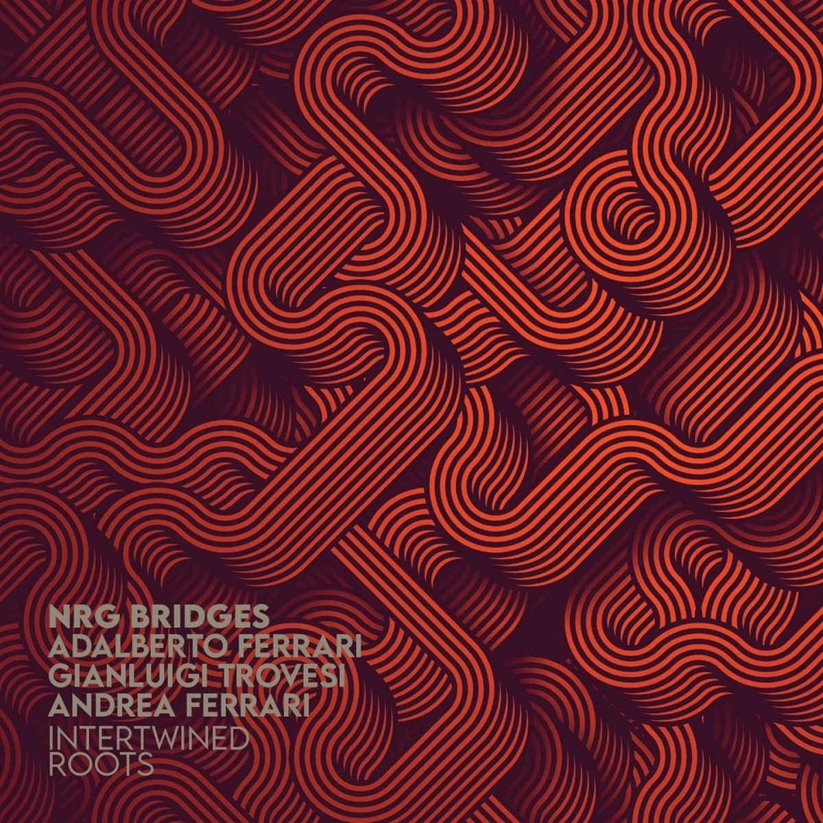 NRG Bridges : Adalberto Ferrari, Gianluigi Trovesi, Andrea Ferrari - Intertwined Roots (CD)