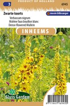 Sluis garden - Inheemse bloemenzaden - Zwarte toorts - geproduceerd in Nederland